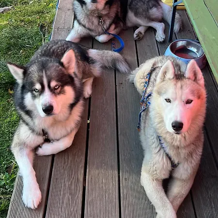 خيمة فخمة Finska Wioska Kalevala *