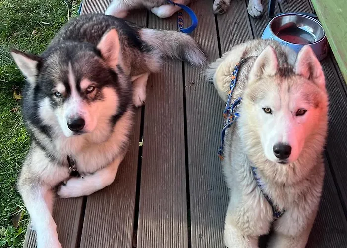 Luxuszelt Finska Wioska Kalevala *